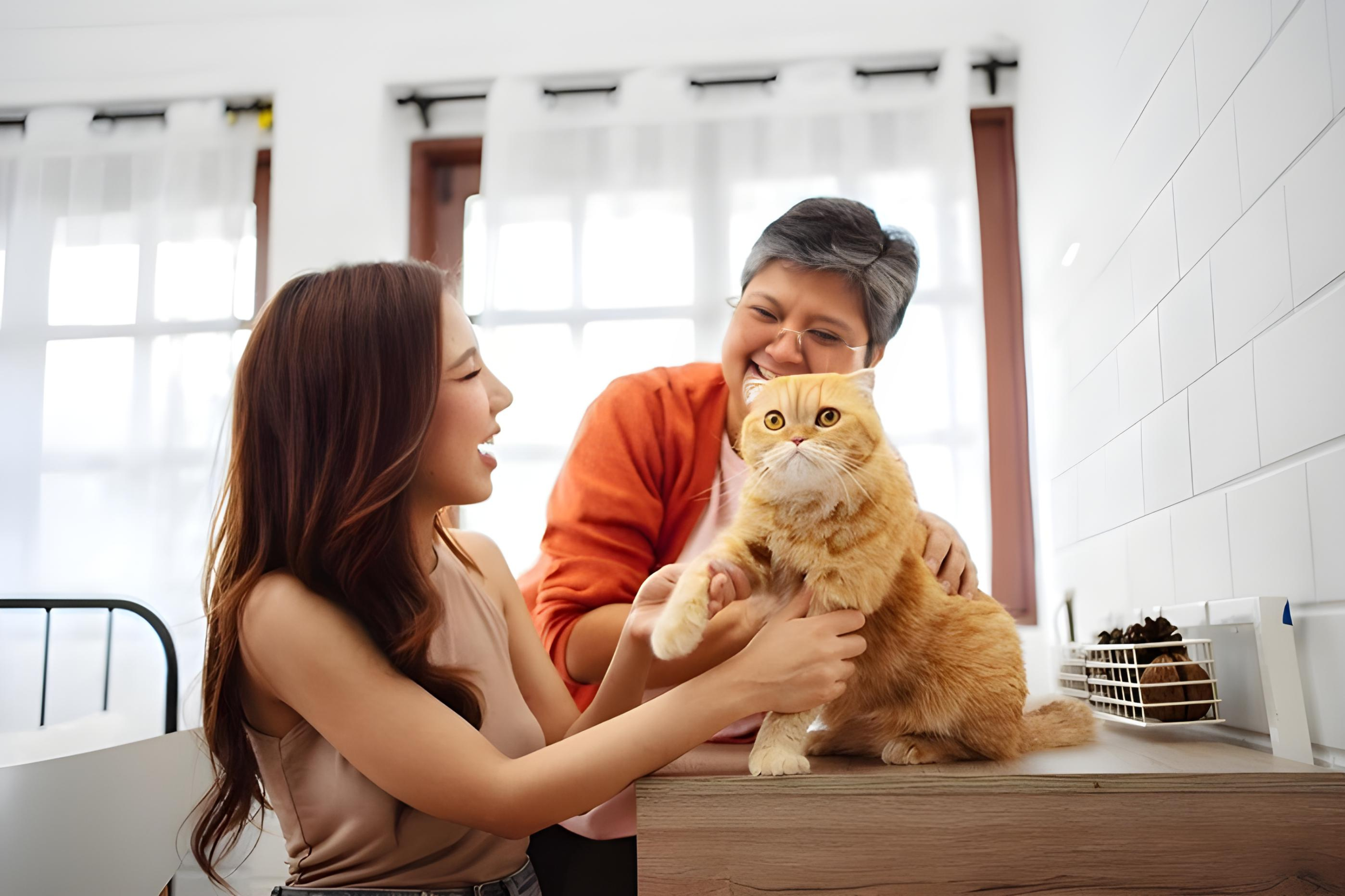Living Large in Small Spaces: Condo Pet Care 101
